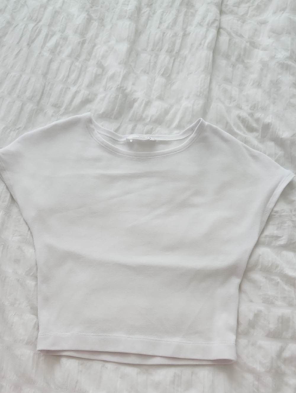 Zara White Short Sleeve Crewneck Crop Top